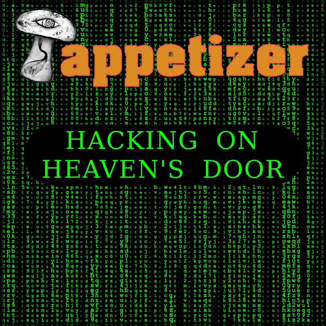 Hacking Vorderseite